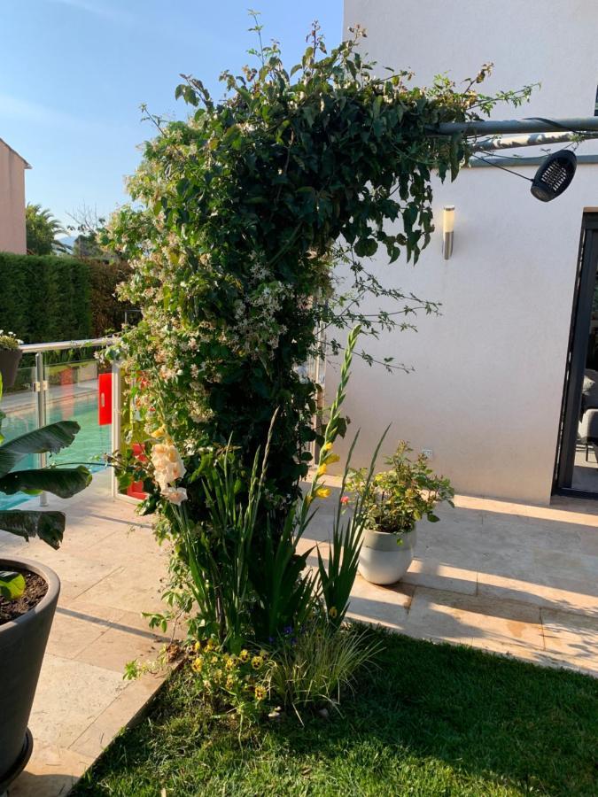 Villa Elimia Piscine Privee & Chauffee Antibes Ngoại thất bức ảnh